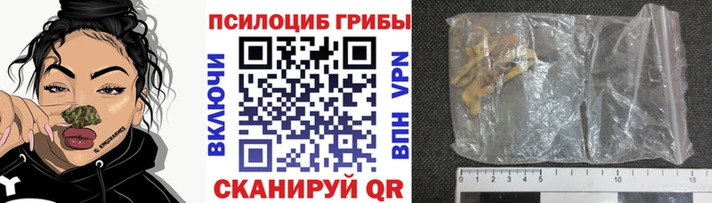 OMG маркетплейс  Печоры  Псилоцибиновые грибы MAGIC MUSHROOMS  где купить  